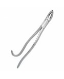 Tooth Forceps (SS)